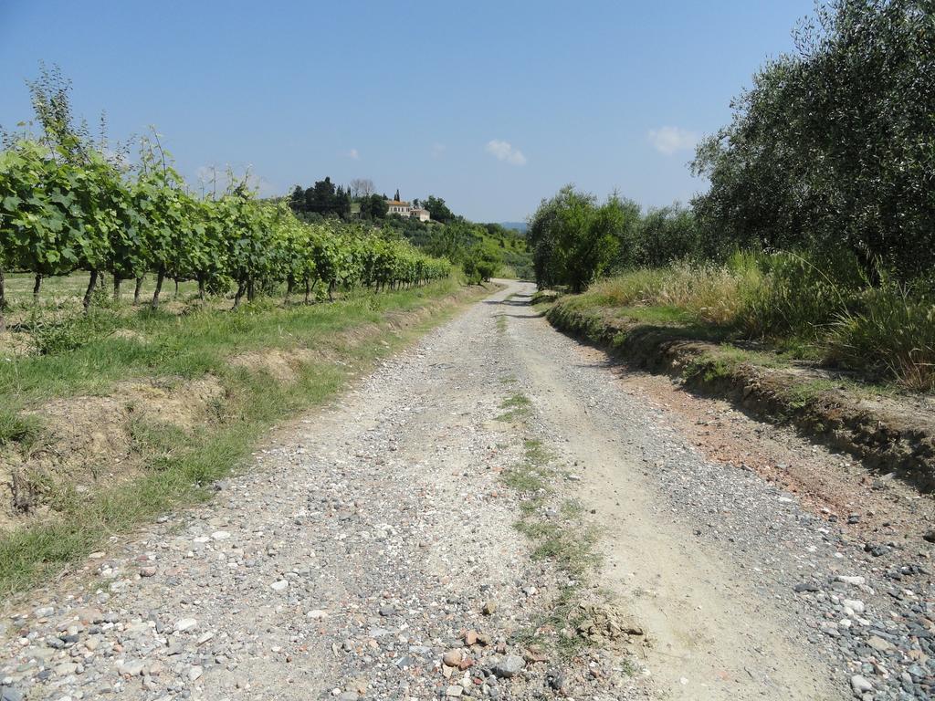 Poggio Novello Appartement Peccioli Buitenkant foto